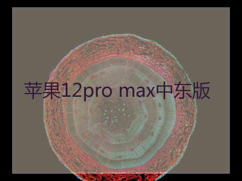 苹果12pro max中东版