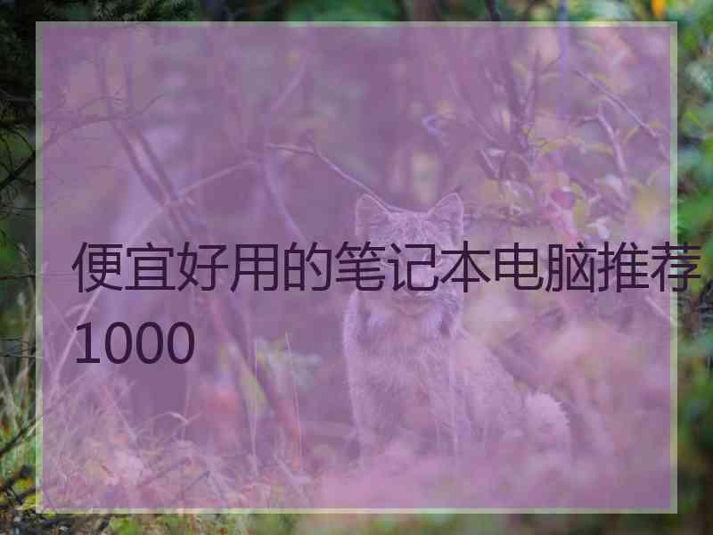 便宜好用的笔记本电脑推荐1000