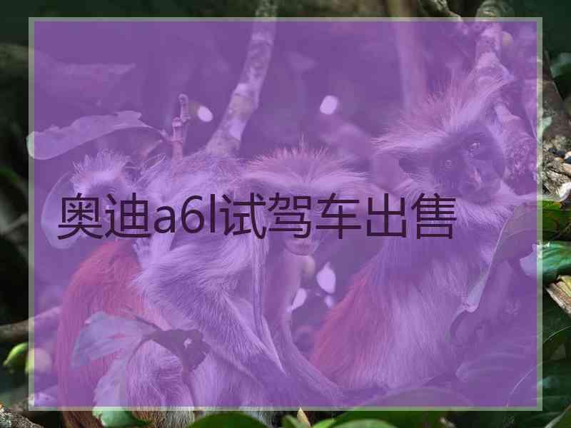 奥迪a6l试驾车出售