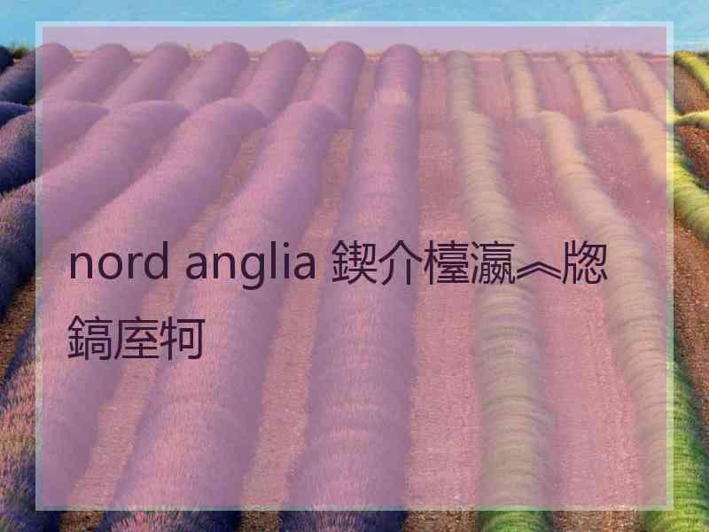 nord anglia 鍥介檯瀛︽牎鎬庢牱