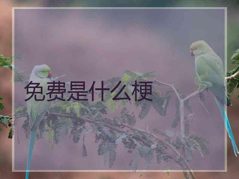 免费是什么梗