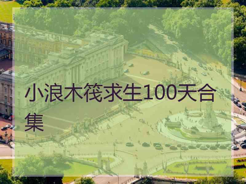 小浪木筏求生100天合集