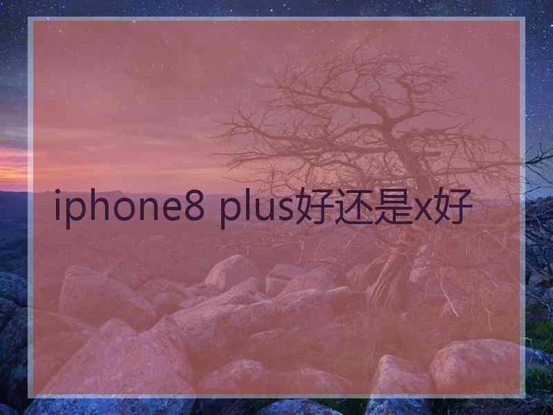 iphone8 plus好还是x好