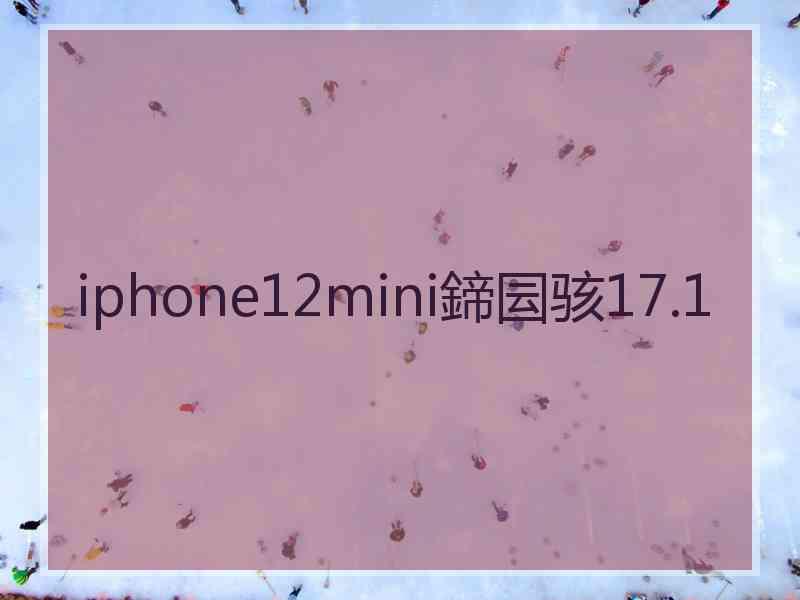 iphone12mini鍗囩骇17.1