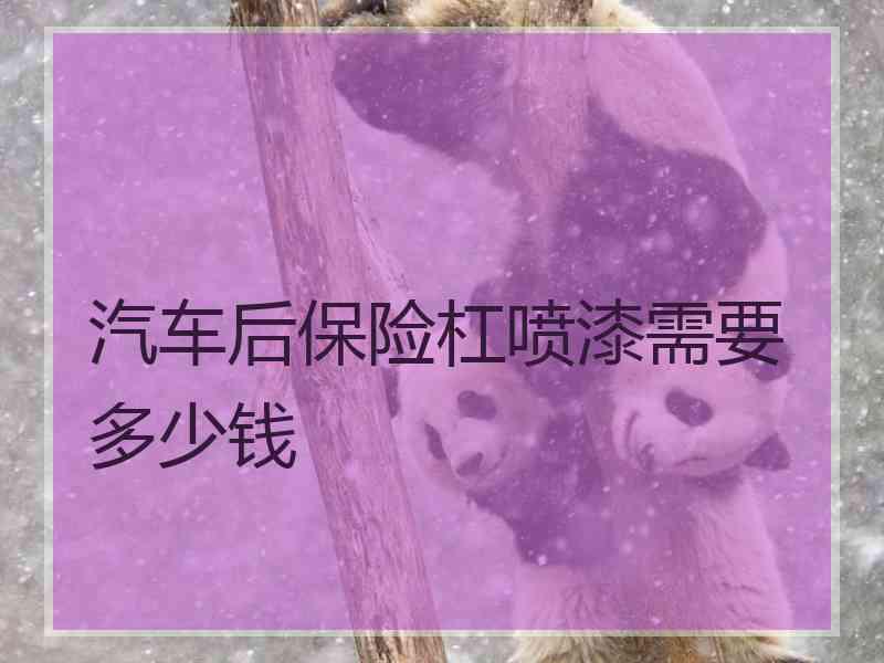 汽车后保险杠喷漆需要多少钱