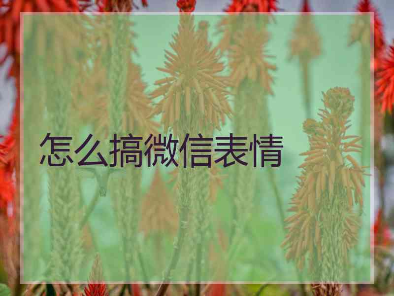 怎么搞微信表情