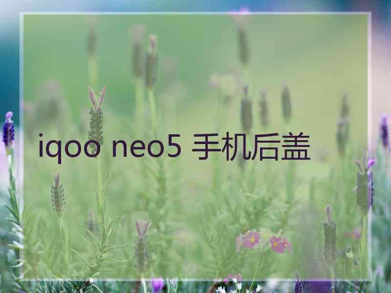 iqoo neo5 手机后盖