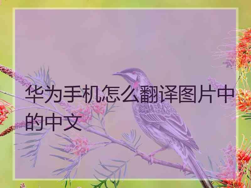 华为手机怎么翻译图片中的中文