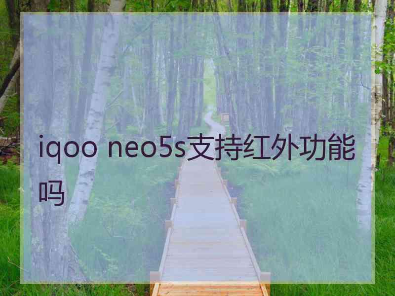 iqoo neo5s支持红外功能吗