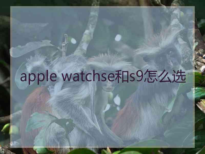 apple watchse和s9怎么选