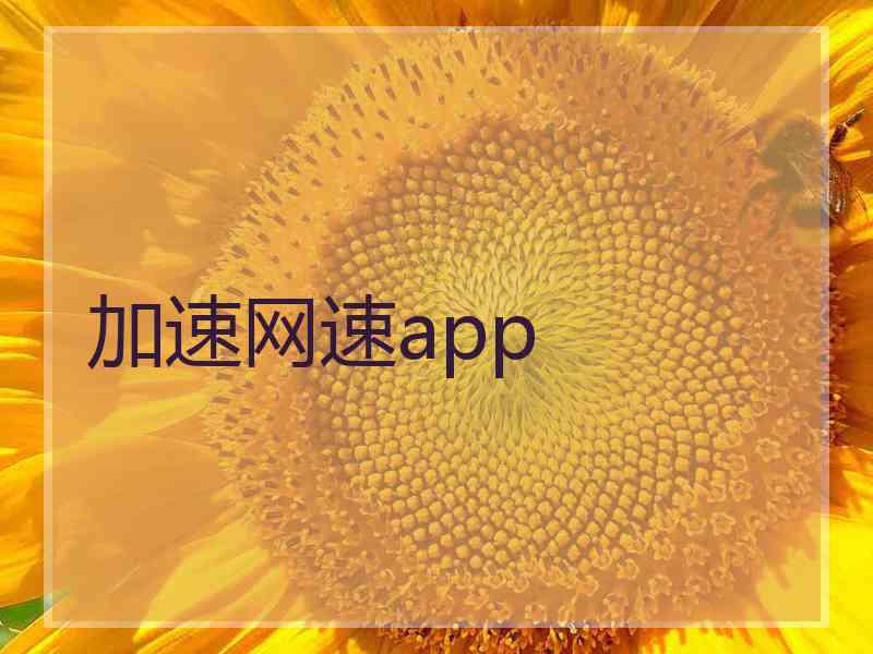 加速网速app