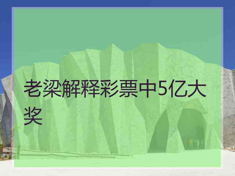 老梁解释彩票中5亿大奖