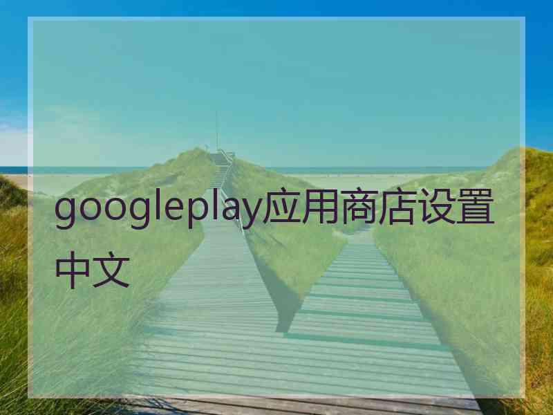 googleplay应用商店设置中文