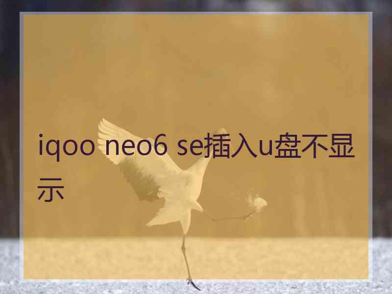 iqoo neo6 se插入u盘不显示