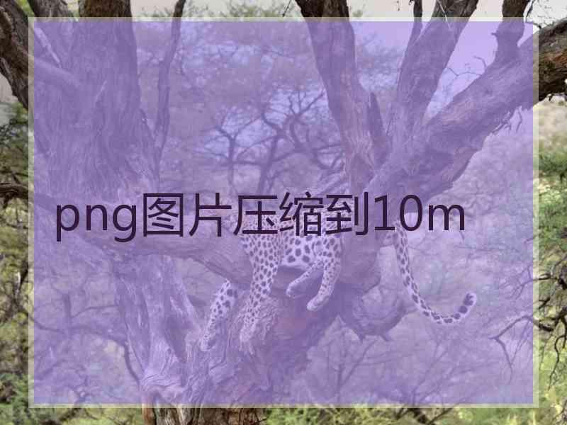 png图片压缩到10m