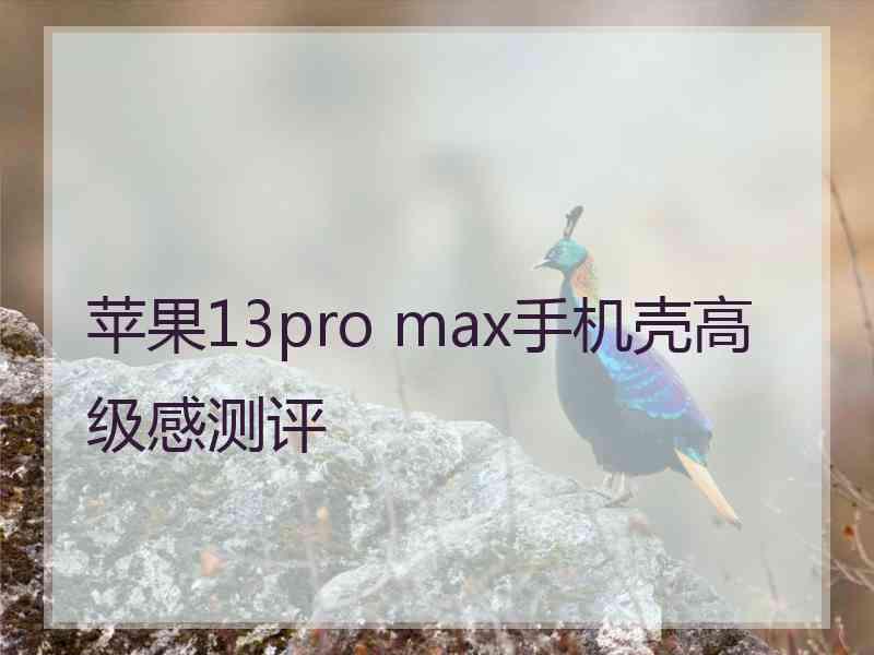 苹果13pro max手机壳高级感测评