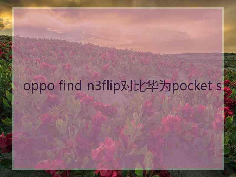 oppo find n3flip对比华为pocket s