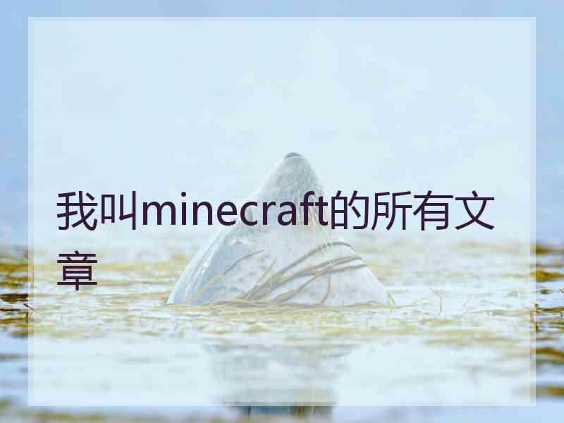 我叫minecraft的所有文章