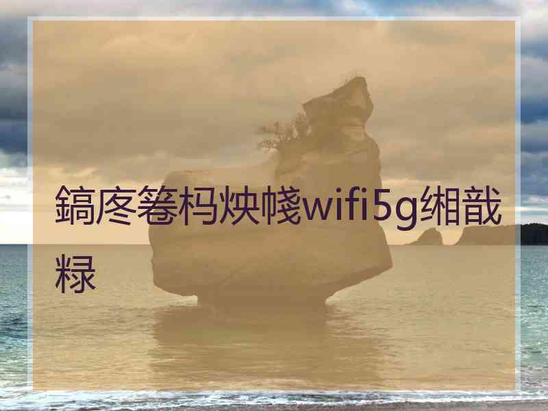 鎬庝箞杩炴帴wifi5g缃戠粶