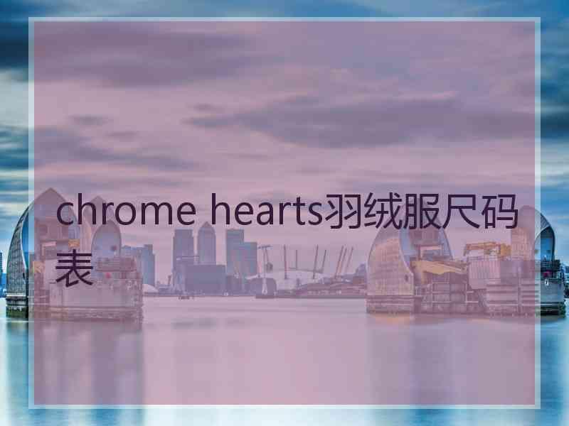 chrome hearts羽绒服尺码表