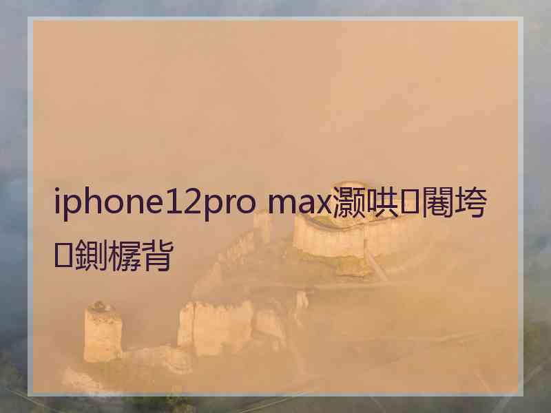 iphone12pro max灏哄闀垮鍘樼背