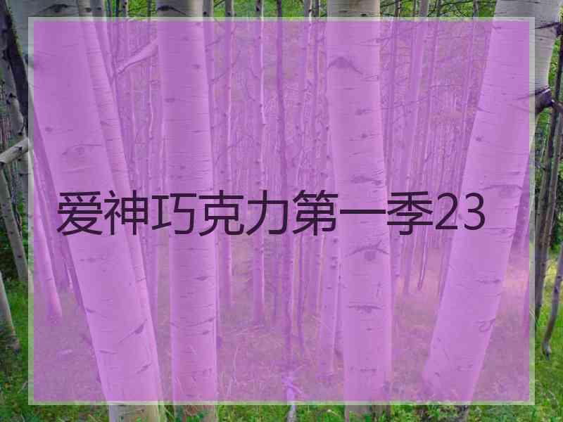 爱神巧克力第一季23