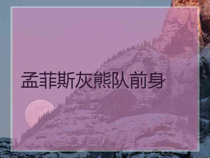 孟菲斯灰熊队前身