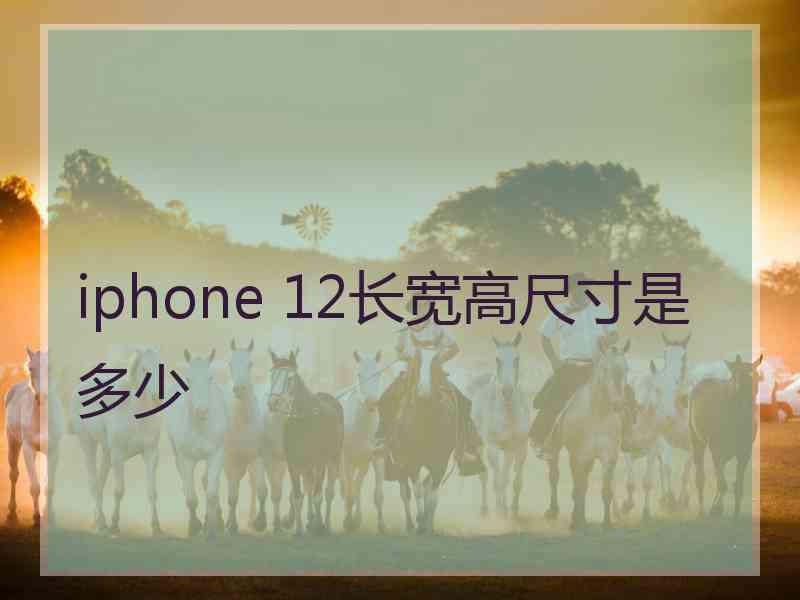 iphone 12长宽高尺寸是多少