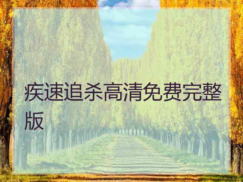 疾速追杀高清免费完整版