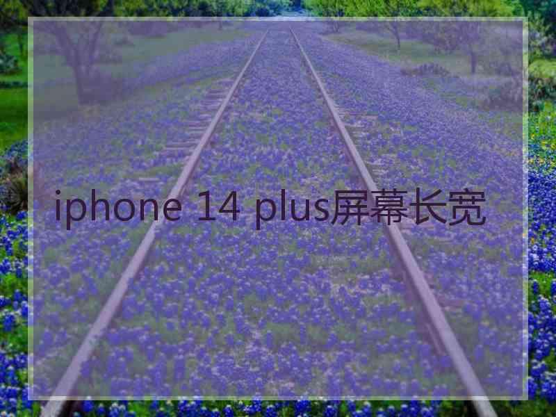 iphone 14 plus屏幕长宽