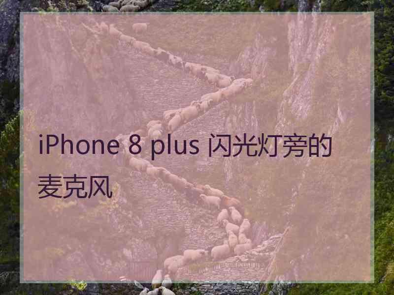 iPhone 8 plus 闪光灯旁的麦克风