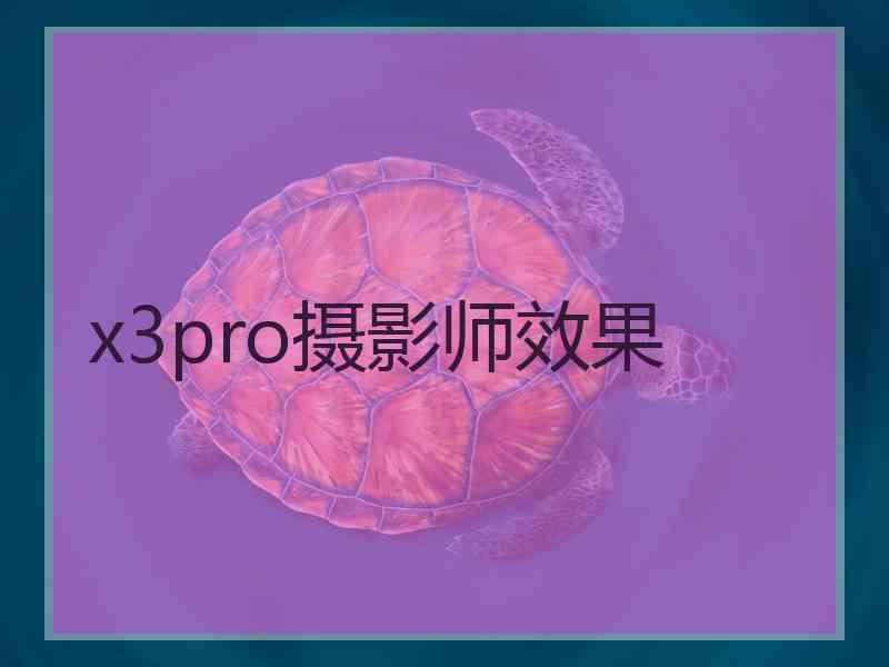 x3pro摄影师效果