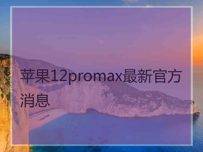 苹果12promax最新官方消息