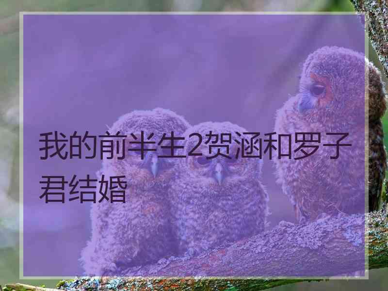 我的前半生2贺涵和罗子君结婚