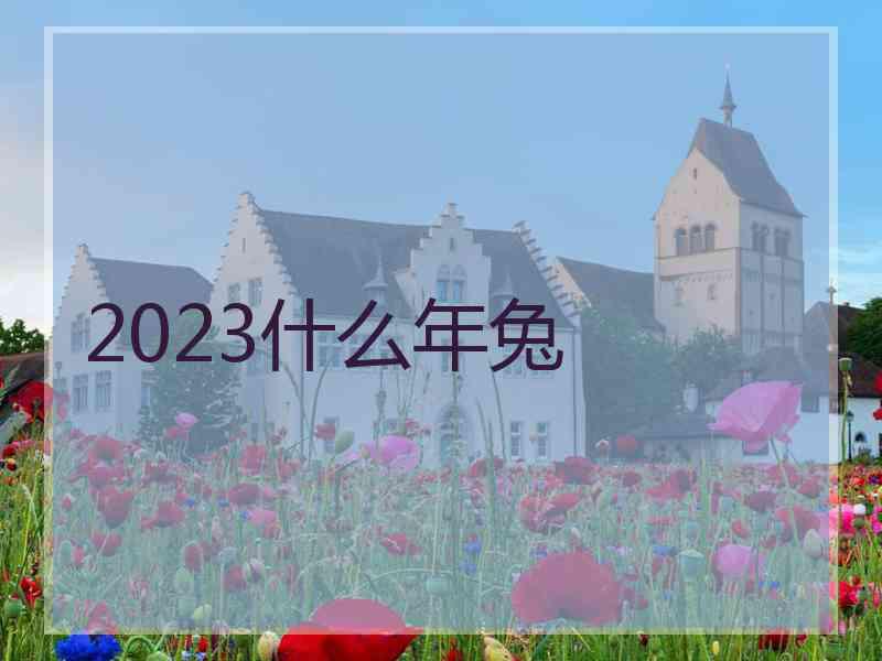 2023什么年兔