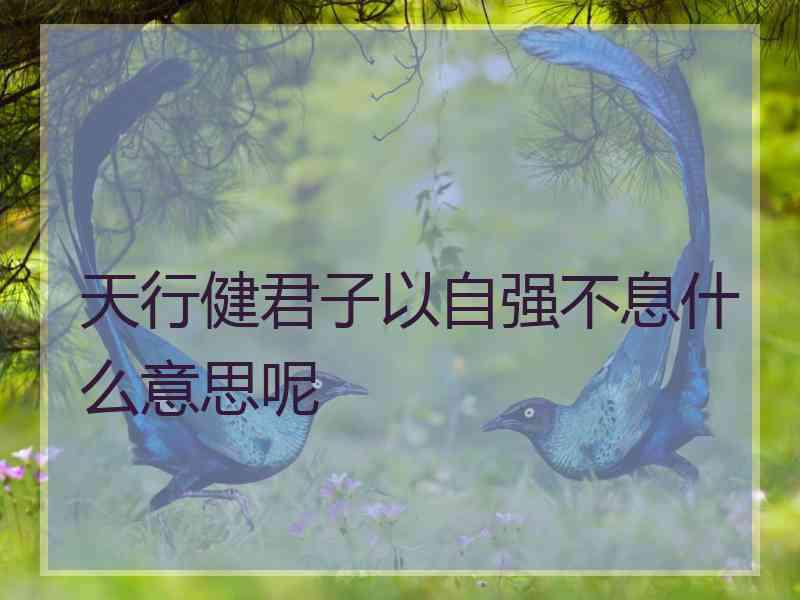 天行健君子以自强不息什么意思呢