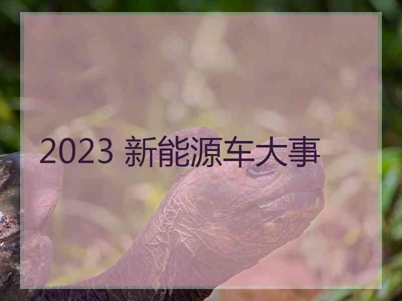 2023 新能源车大事