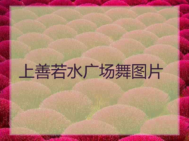 上善若水广场舞图片