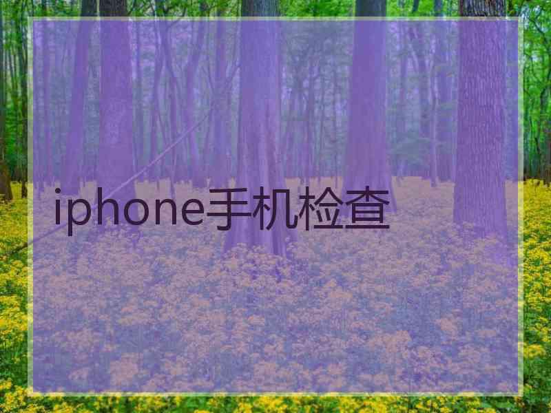 iphone手机检查