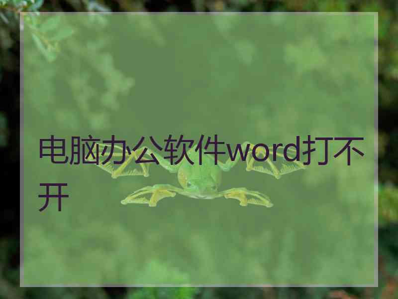 电脑办公软件word打不开