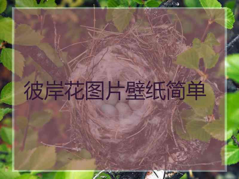 彼岸花图片壁纸简单