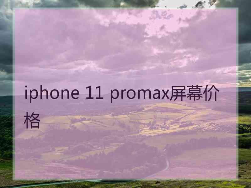 iphone 11 promax屏幕价格