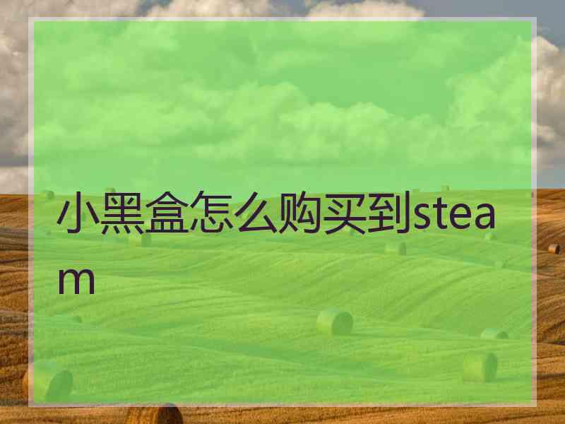 小黑盒怎么购买到steam