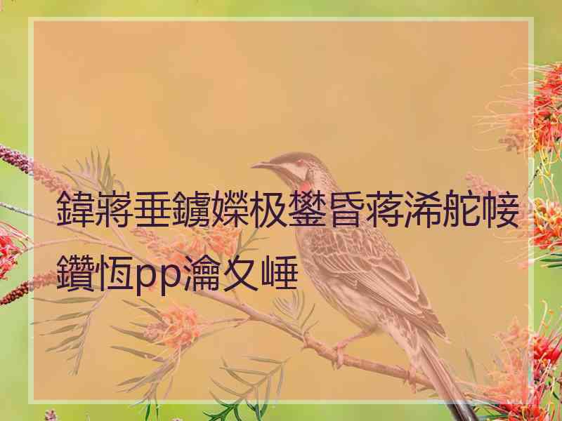 鍏嶈垂鐪嬫极鐢昏蒋浠舵帹鑽恆pp瀹夊崜