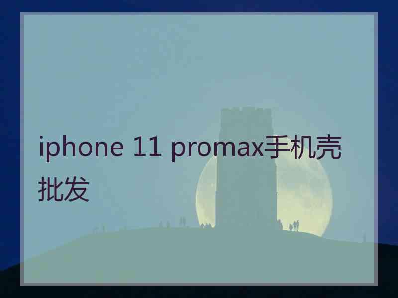 iphone 11 promax手机壳批发