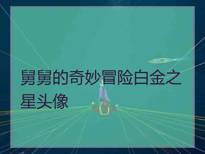 舅舅的奇妙冒险白金之星头像