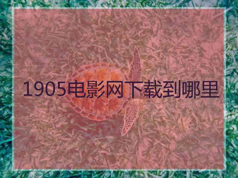 1905电影网下载到哪里