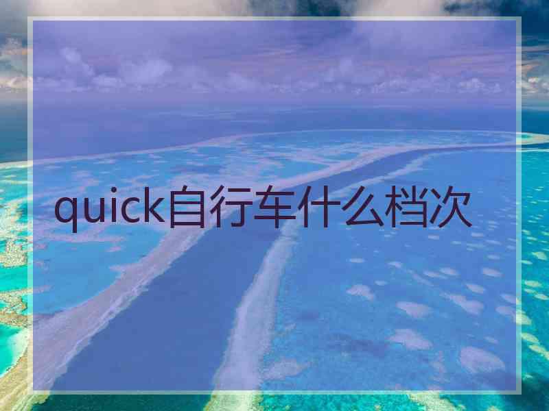 quick自行车什么档次