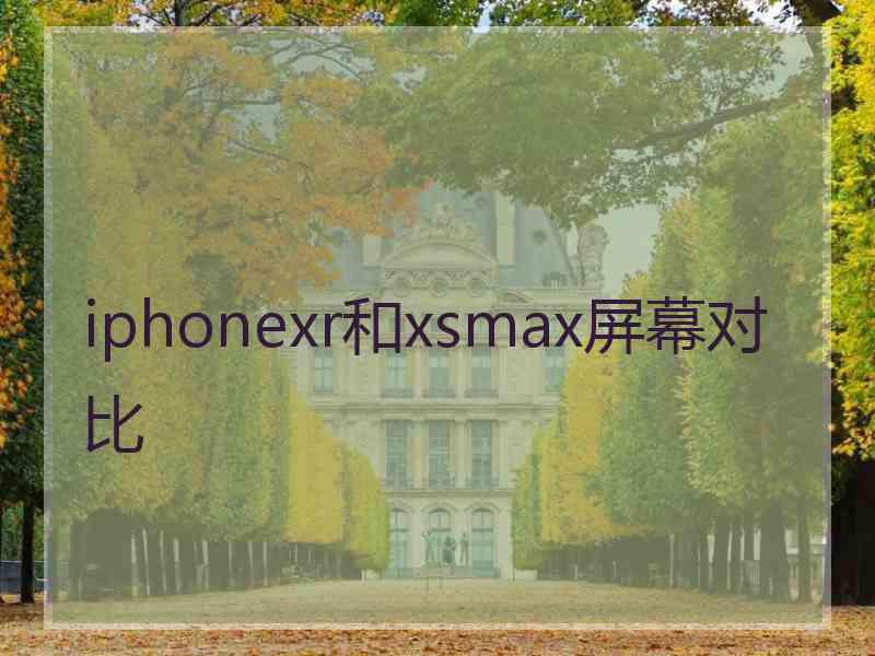 iphonexr和xsmax屏幕对比