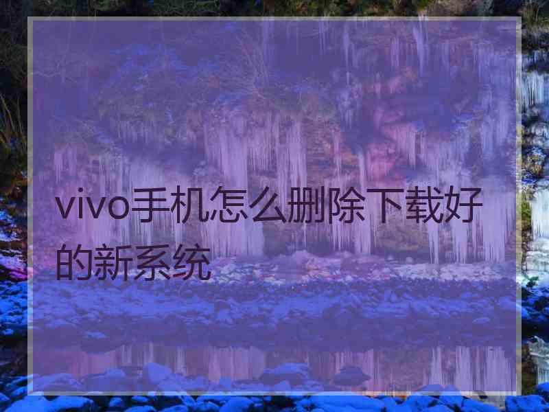 vivo手机怎么删除下载好的新系统